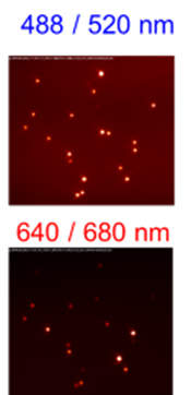 488/520 nm